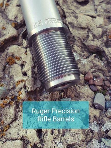 Picture of Ruger Precision Prefits
